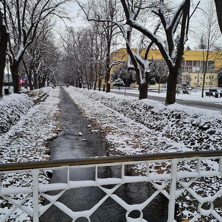 Apartman Esperanza Vrnjačka Banja Buitenkant foto