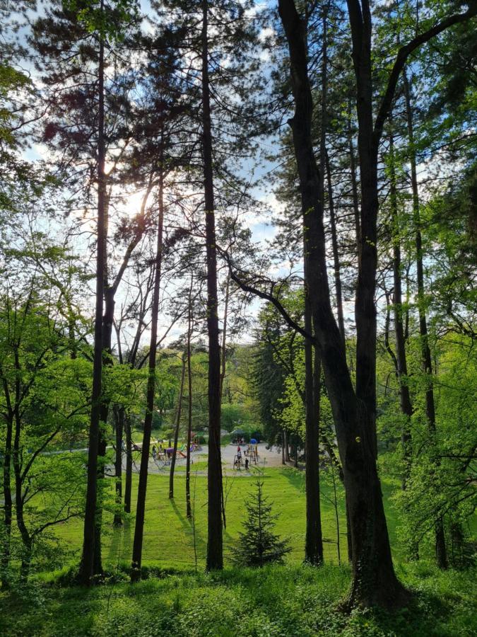 Apartman Esperanza Vrnjačka Banja Buitenkant foto