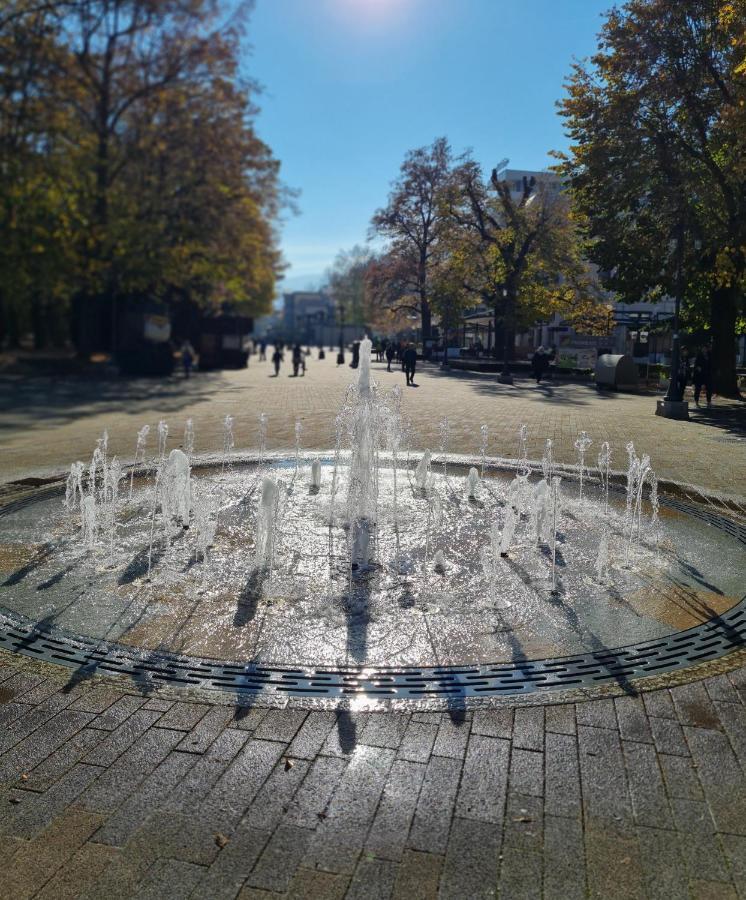 Apartman Esperanza Vrnjačka Banja Buitenkant foto