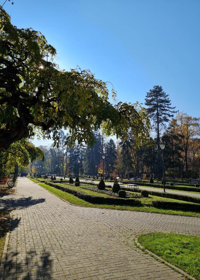 Apartman Esperanza Vrnjačka Banja Buitenkant foto